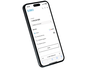 coeo sv amount to pay-1